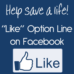 Like Option Line on Facebook