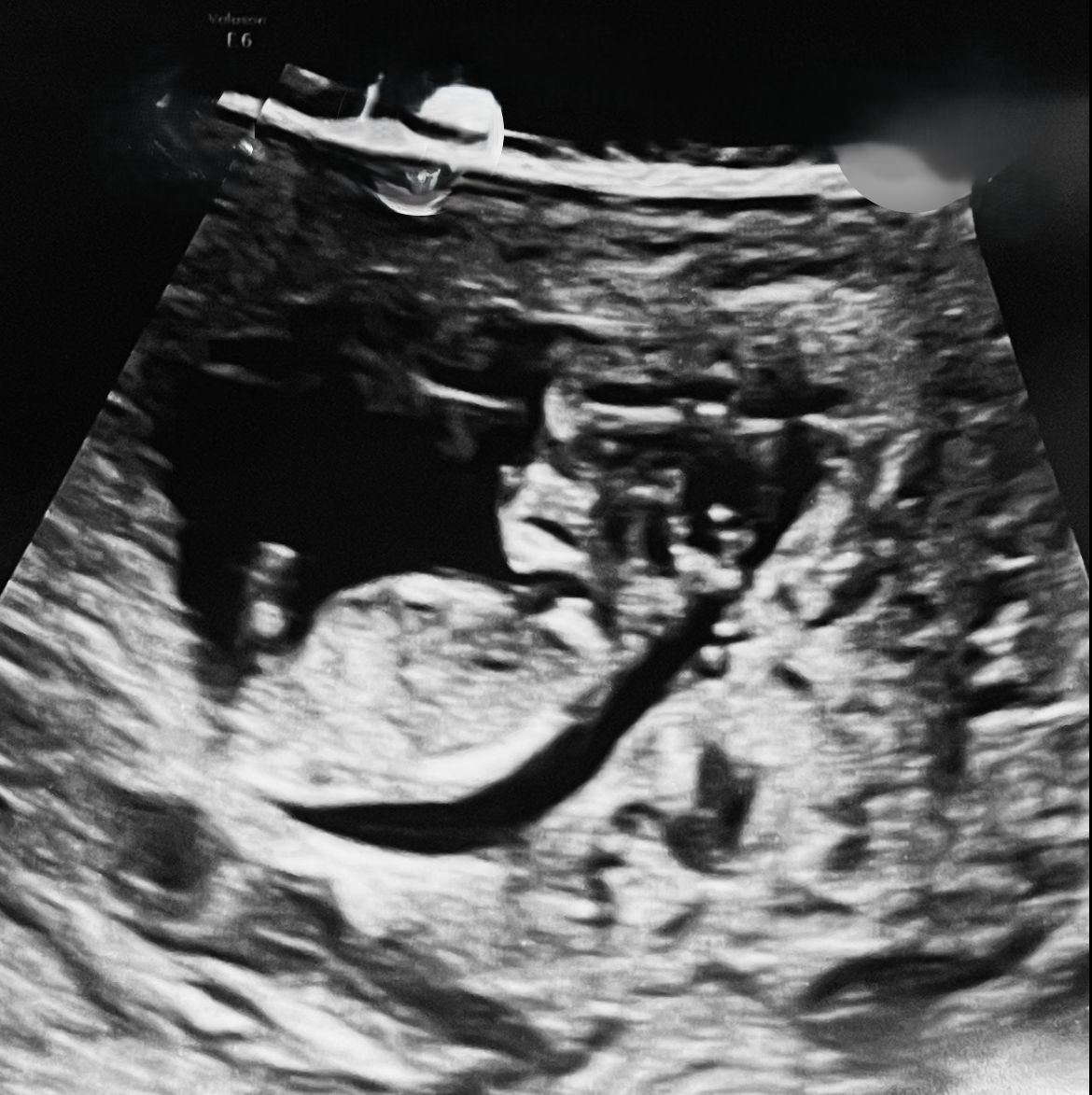 Khiyan, Born 2026