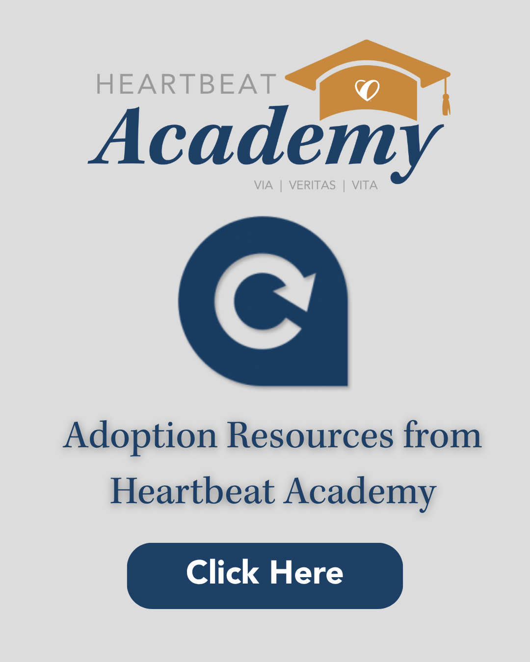 ATA Academy Link