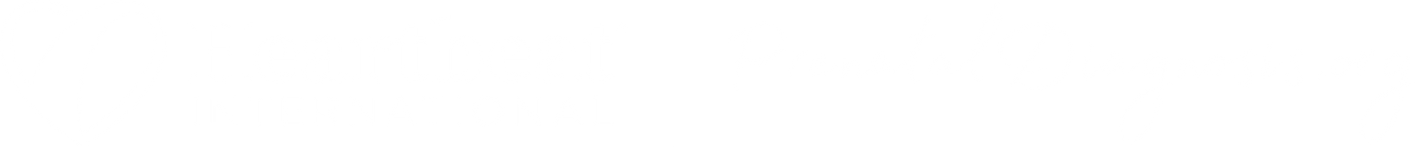 PDI lockup logo white