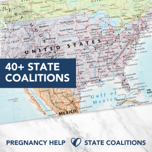 State Coalitions New