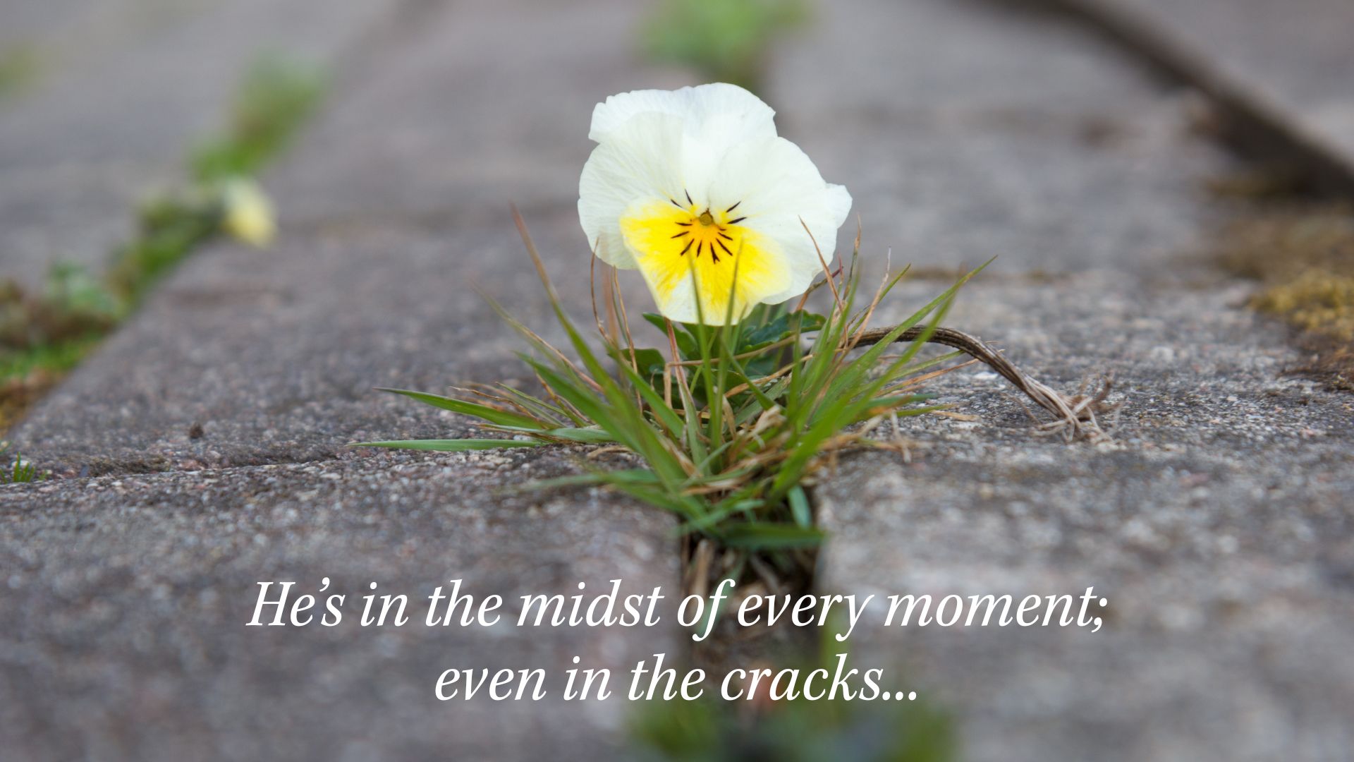 In the midst