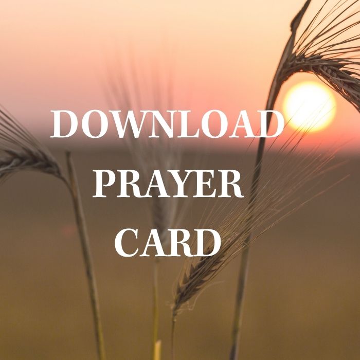 Prayer Card