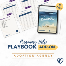Adoption Pregnancy Help Playbook Add-On